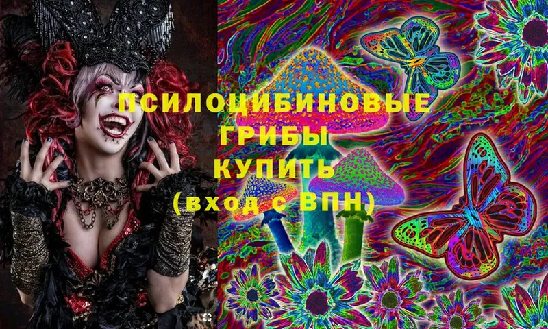 ОМГ ОМГ вход  Ковров  Галлюциногенные грибы MAGIC MUSHROOMS 